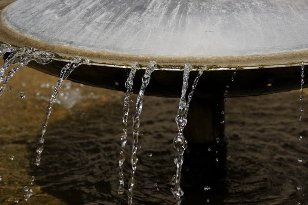 FotoMARATON – piątkowe zdjęcia