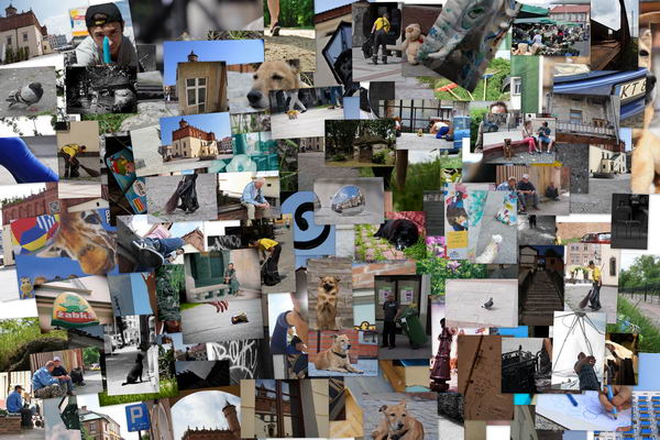 FotoMARATON – czwartkowe zdjęcia