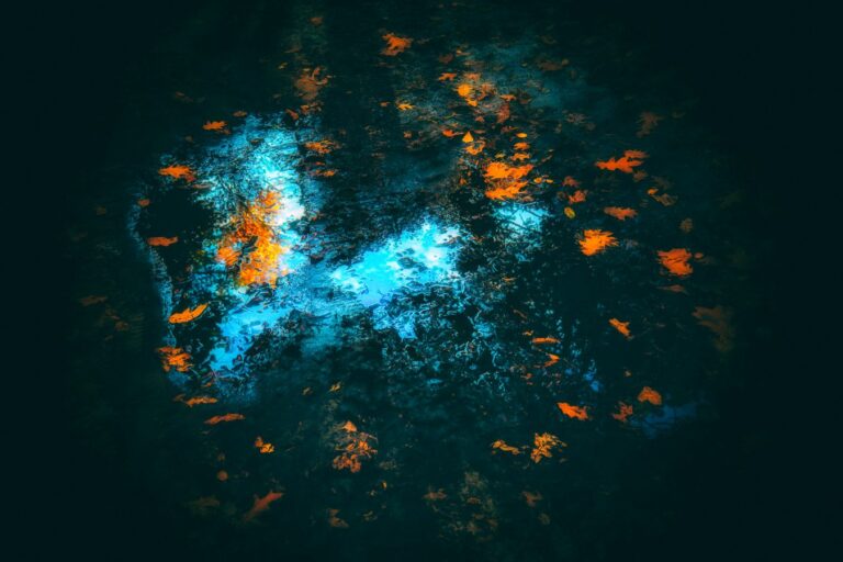 „Samotna wyspa” – konkurs miesiąca TTF, październik 2025